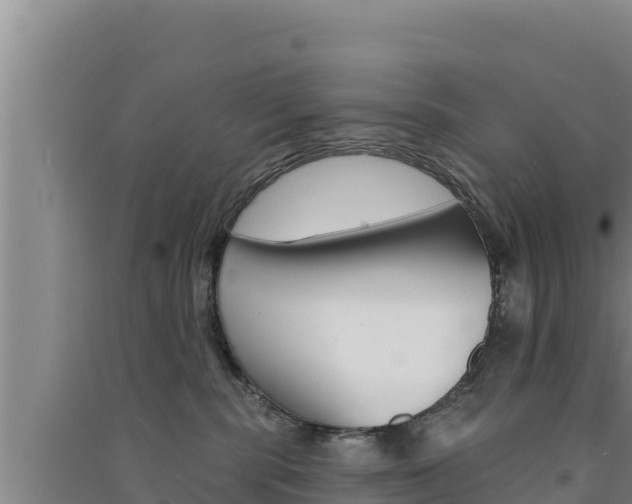 X0000091560283200708171107