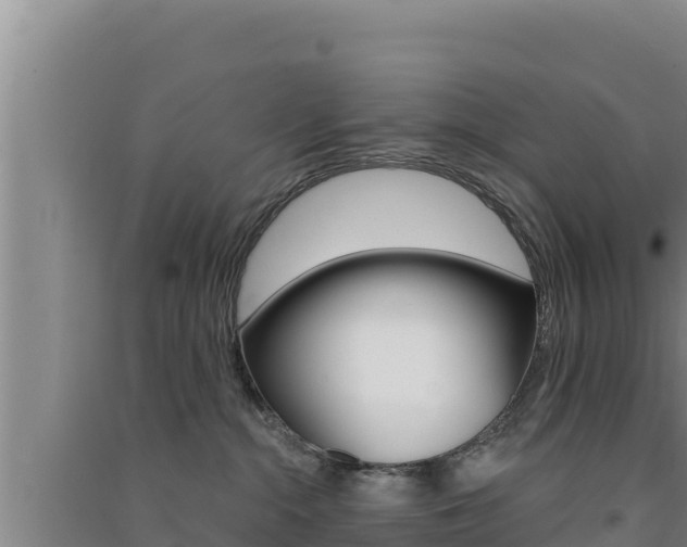 X0000091560284200708171107