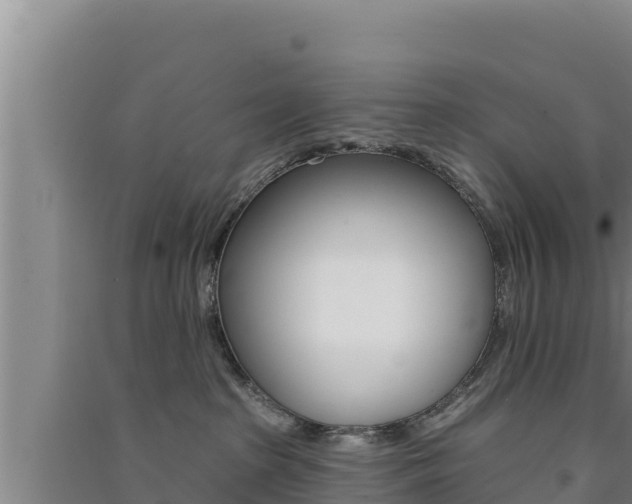 X0000091560285200708171108