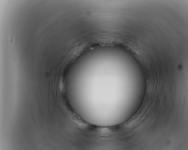 X0000091560287200708171108