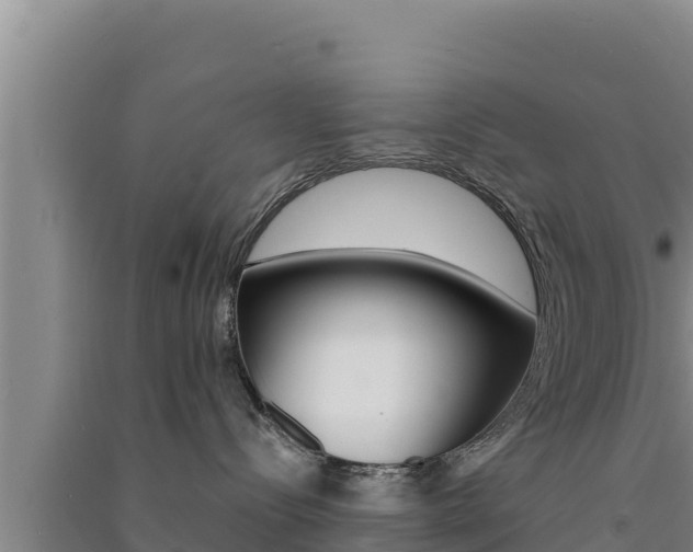 X0000091560288200708171108