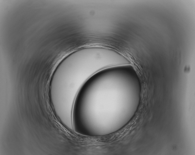 X0000091560289200708171107