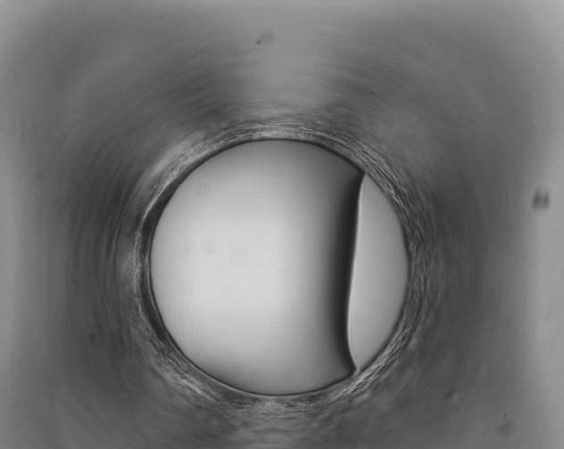 X0000091560290200708171107