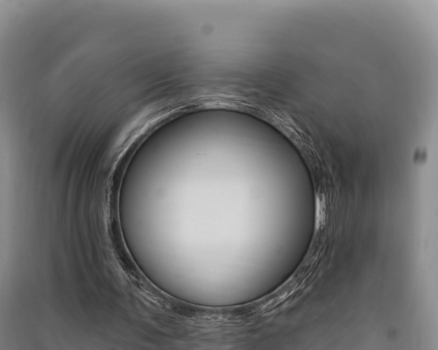 X0000091560291200708171107