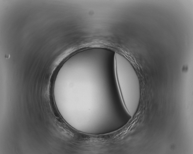 X0000091560292200708171107