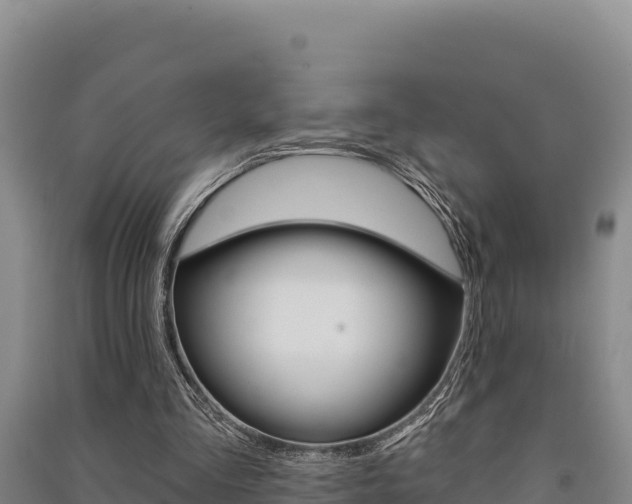 X0000091560293200708171107