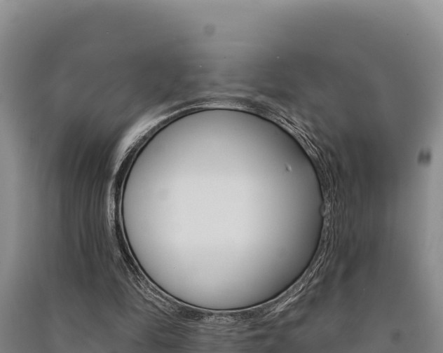 X0000091560294200708171107