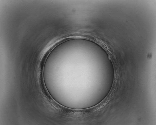 X0000091560295200708171107