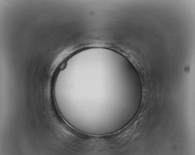 X0000091560296200708171107