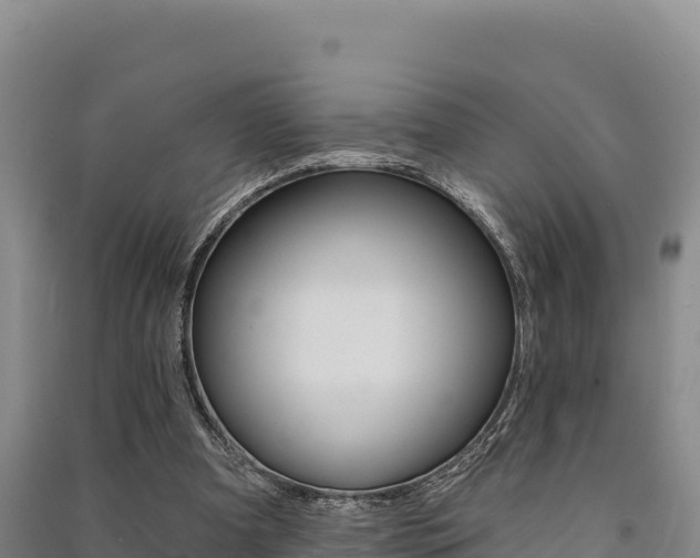 X0000091560297200708171107