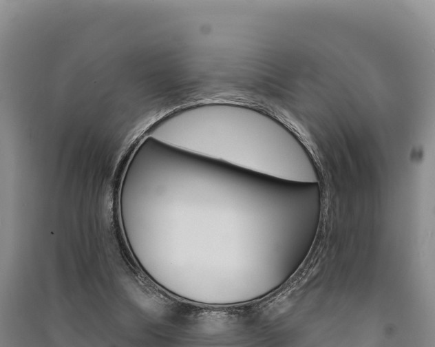 X0000091560298200708171107