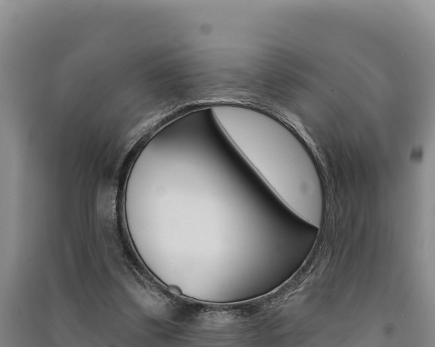 X0000091560299200708171107