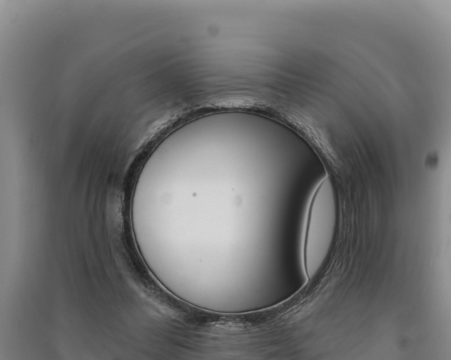 X0000091560300200708171107