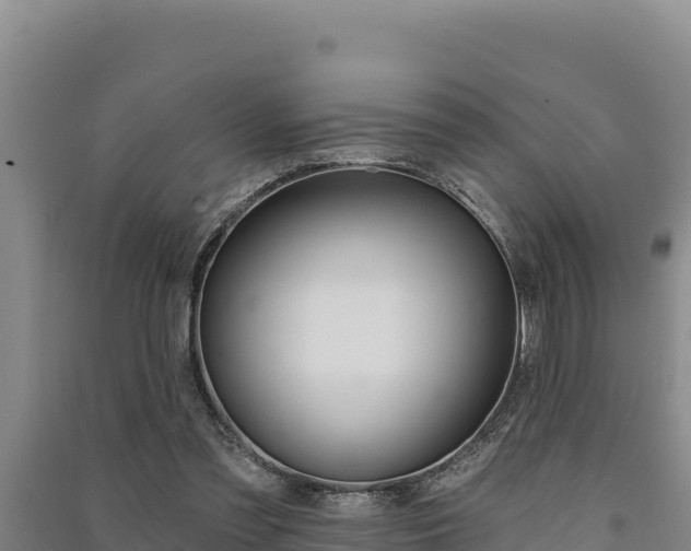 X0000091560301200708171107