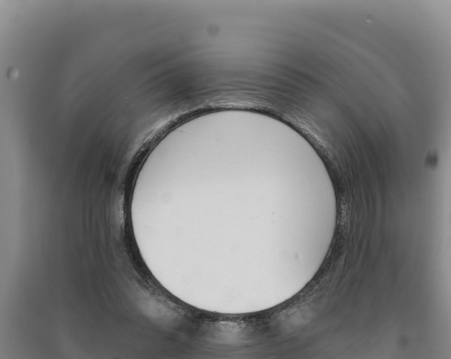 X0000091560302200708171107