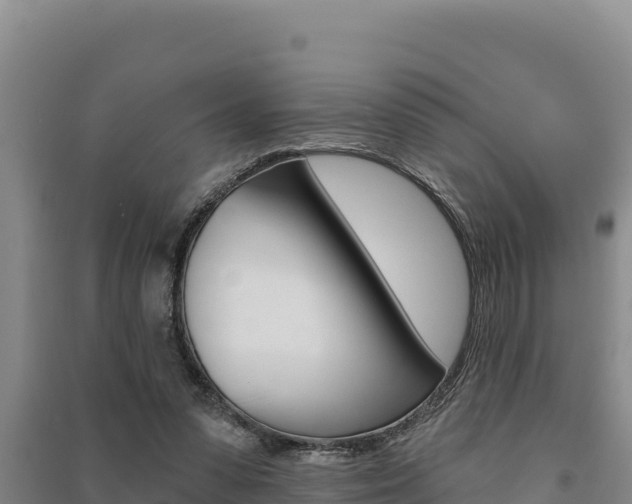 X0000091560303200708171107