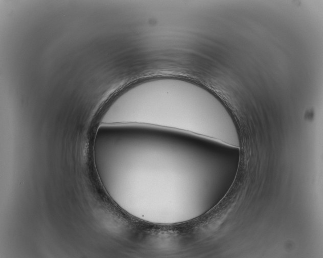 X0000091560304200708171107