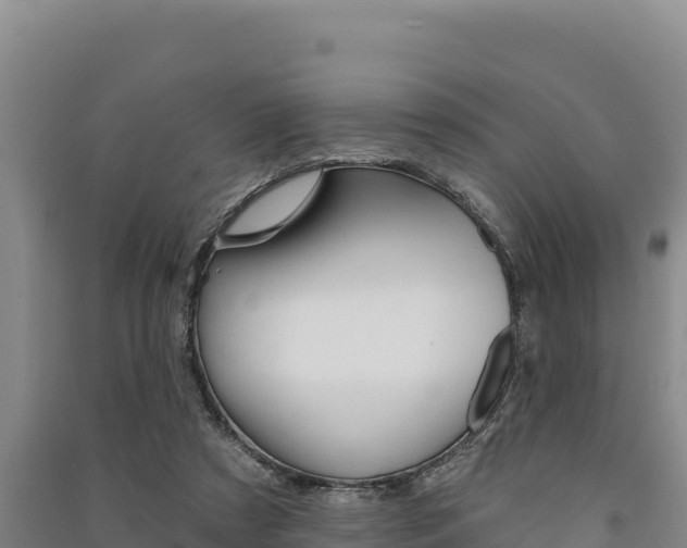 X0000091560305200708171107