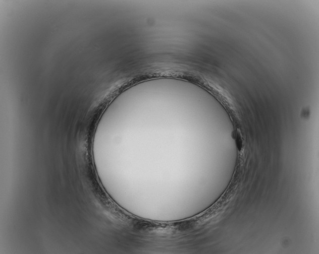 X0000091560306200708171107