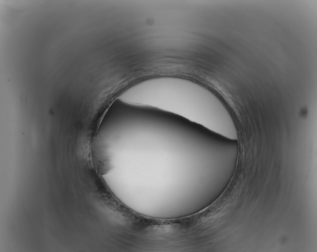 X0000091560307200708171107