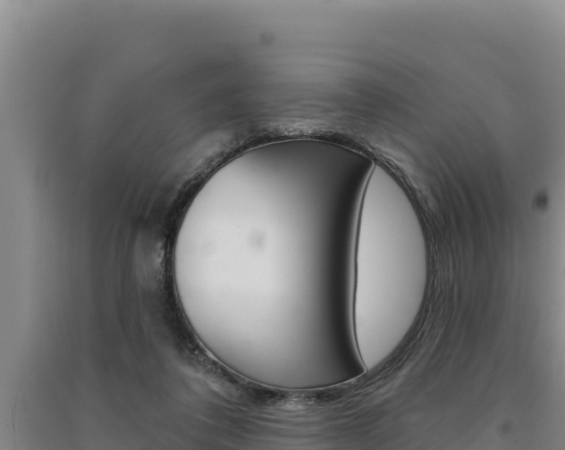 X0000091560308200708171107