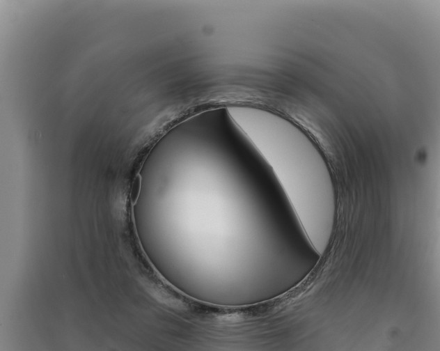 X0000091560309200708171107