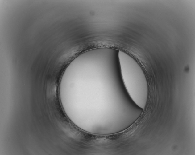 X0000091560310200708171107