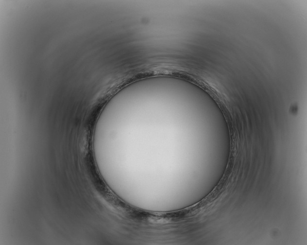 X0000091560311200708171107