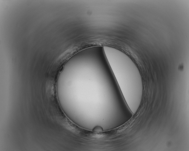 X0000091560313200708171106