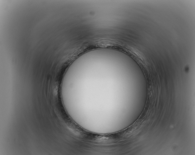 X0000091560315200708171106