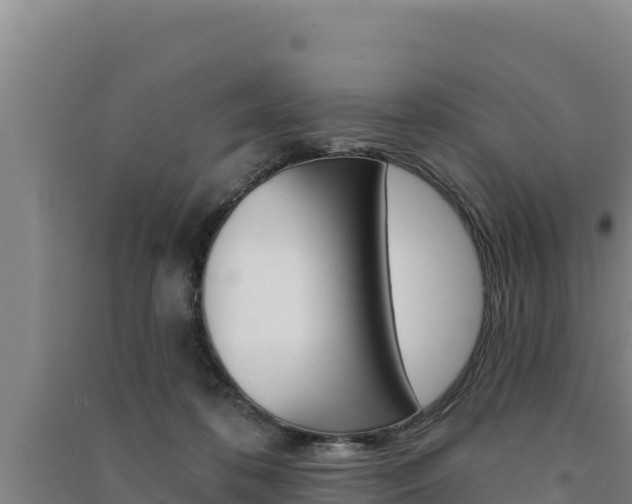 X0000091560316200708171106