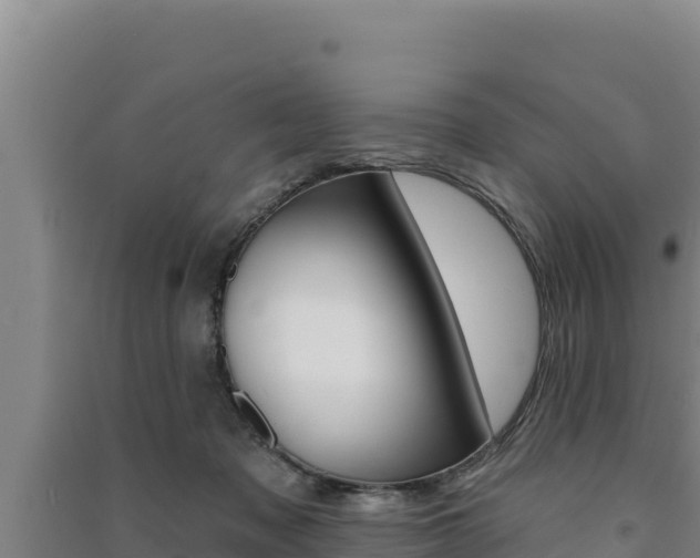 X0000091560317200708171106