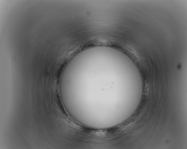 X0000091560318200708171106