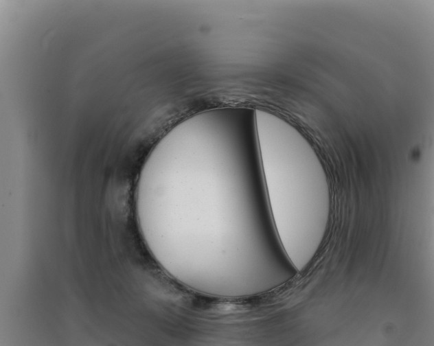 X0000091560319200708171106