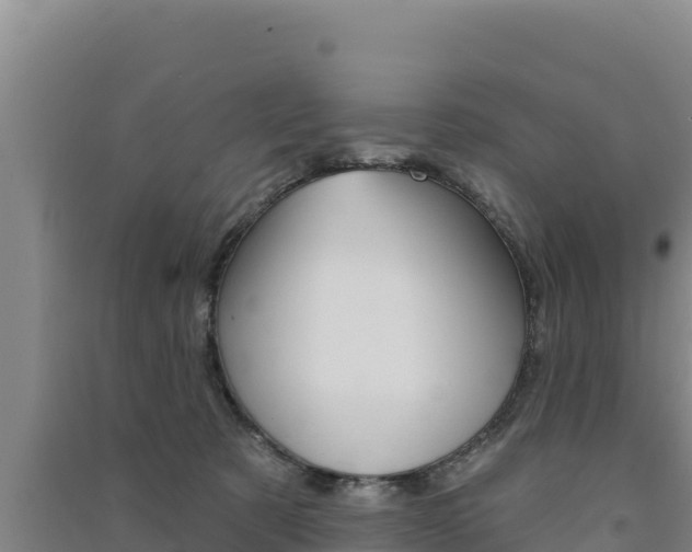 X0000091560321200708171106