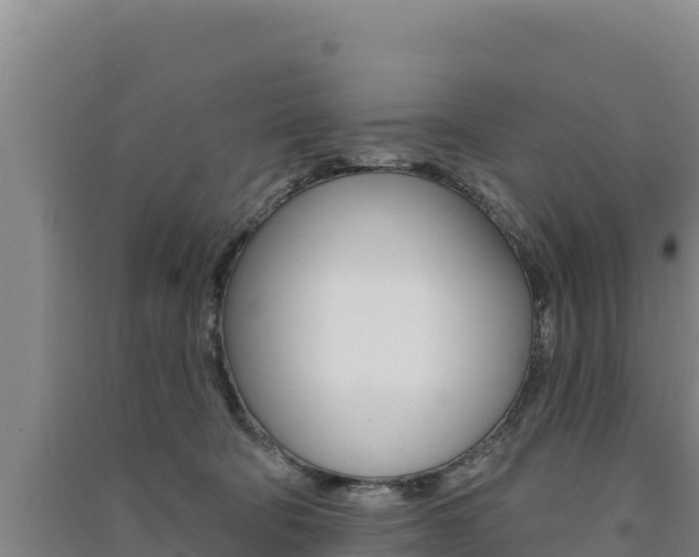 X0000091560322200708171106