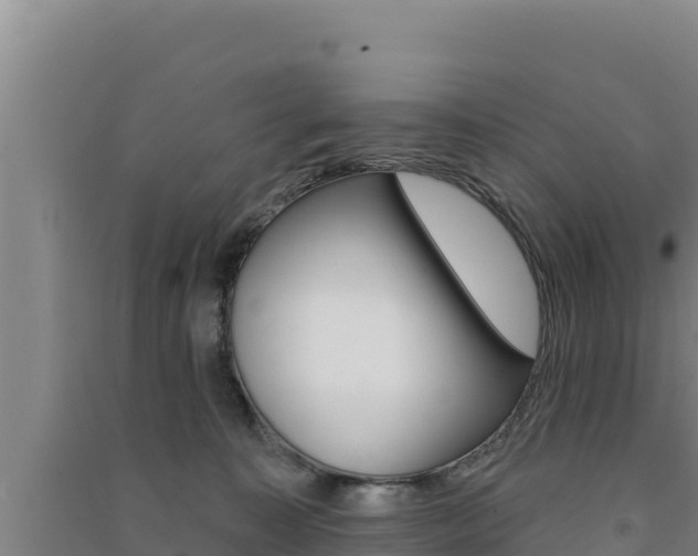 X0000091560323200708171106