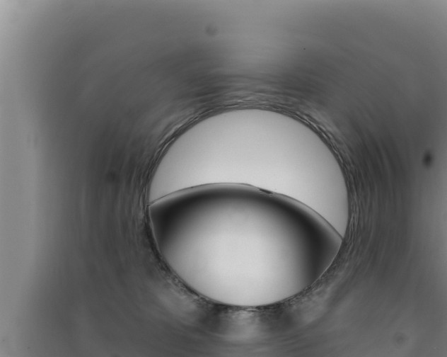 X0000091560325200708171106