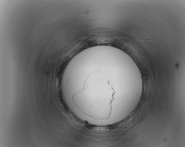 X0000091560327200708171106