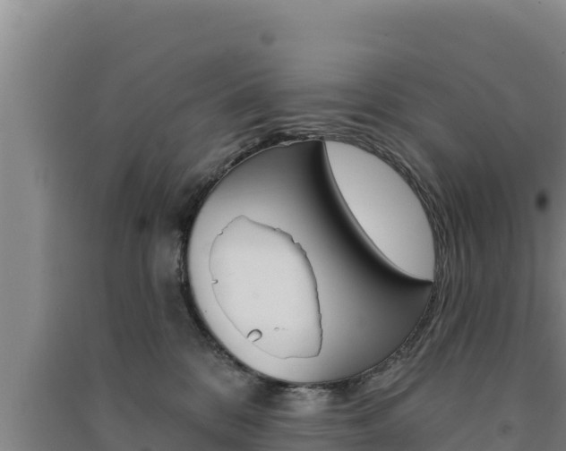 X0000091560328200708171106