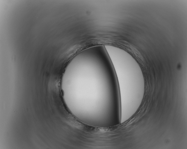 X0000091560329200708171106