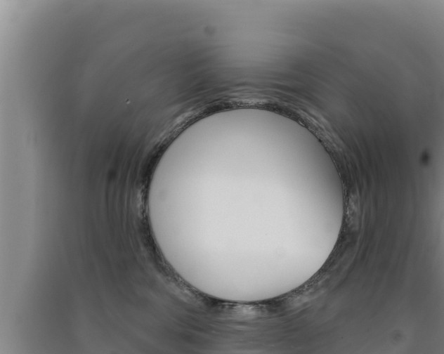 X0000091560330200708171106