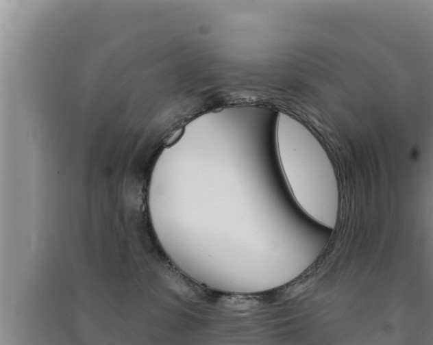 X0000091560331200708171106