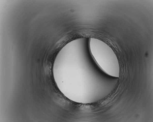 X0000091560332200708171106