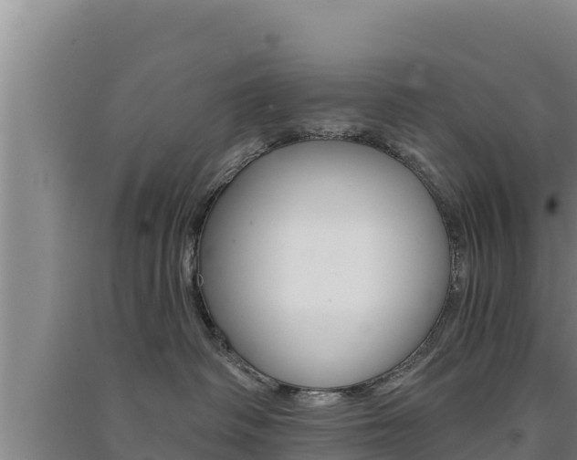 X0000091560334200708171106