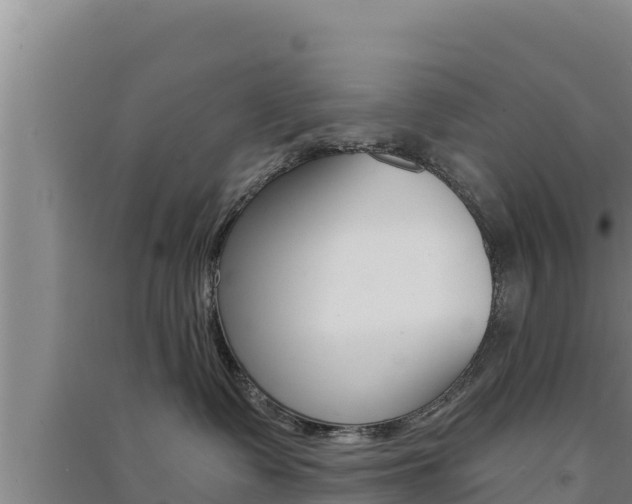 X0000091560335200708171106