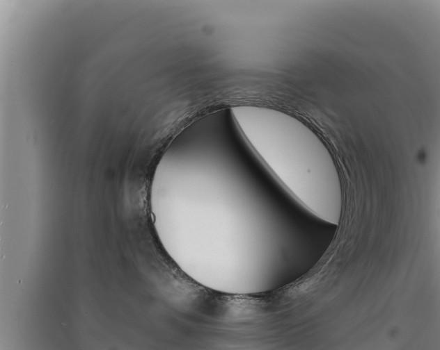 X0000091560336200708171106