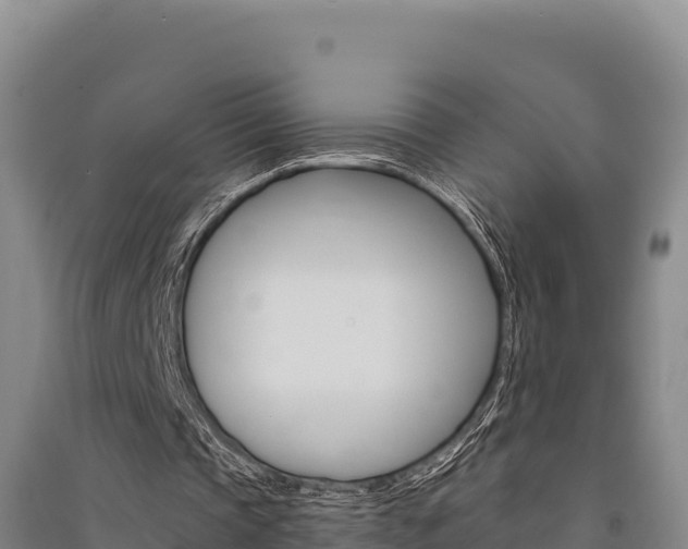 X0000091560337200708171106