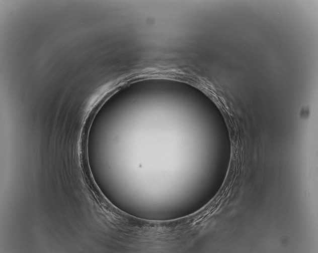 X0000091560340200708171106