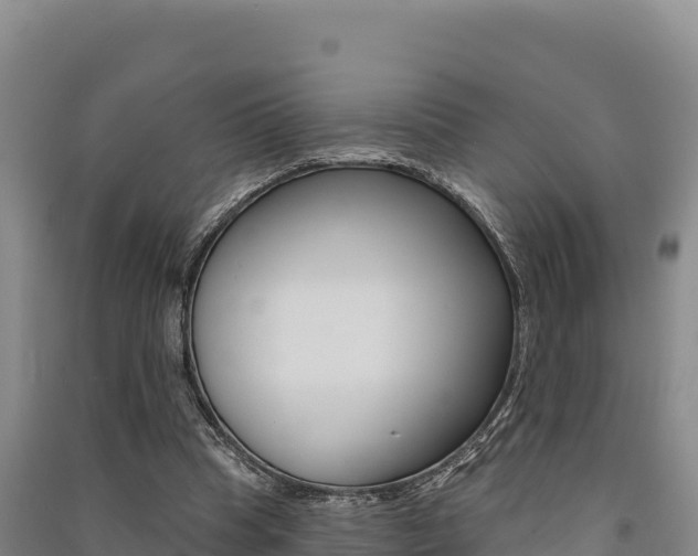 X0000091560345200708171106